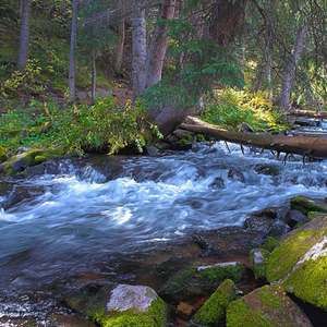 Meet your Posher, Greg